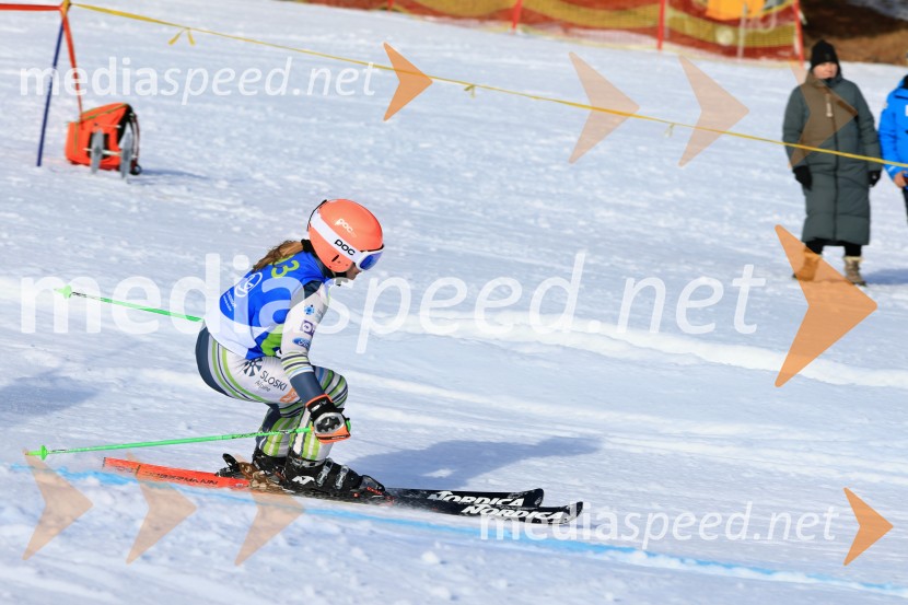 32. Pokal Roka Petroviča v smučanju za otroke