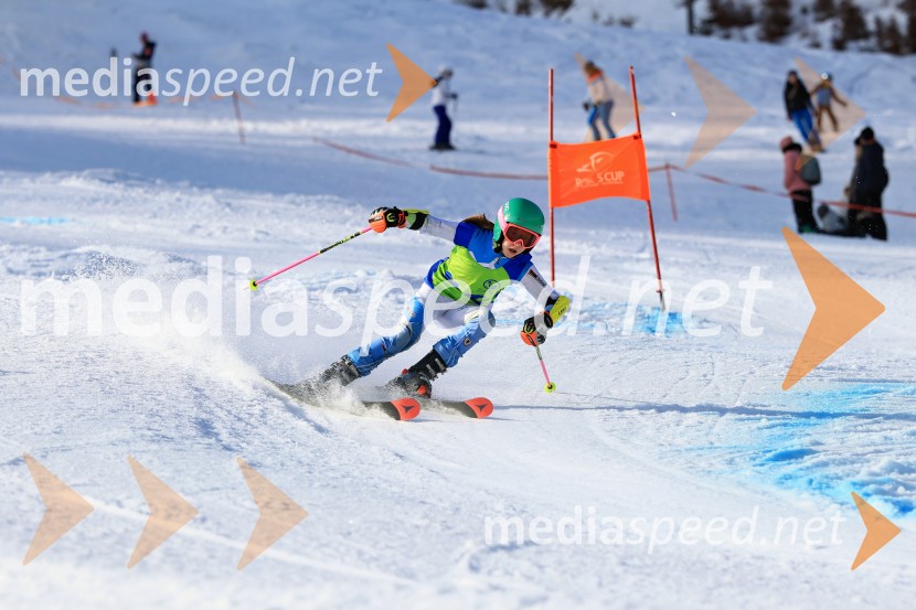 32. Pokal Roka Petroviča v smučanju za otroke