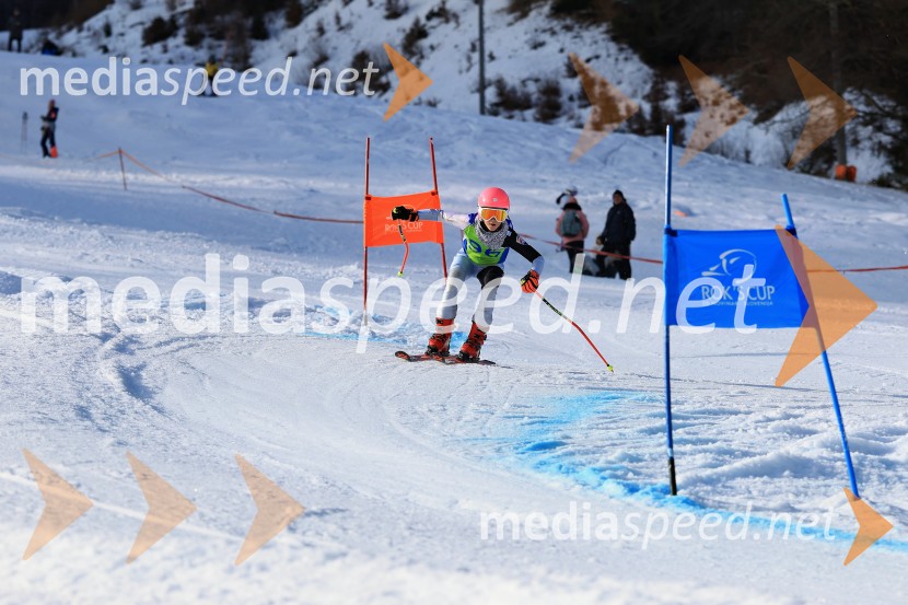 32. Pokal Roka Petroviča v smučanju za otroke