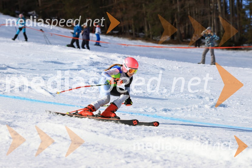 32. Pokal Roka Petroviča v smučanju za otroke
