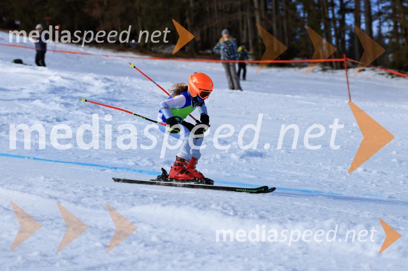 32. Pokal Roka Petroviča v smučanju za otroke