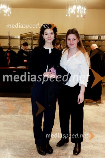 Premiera Življenje podeželjskih plejbojev, Cankarjev dom