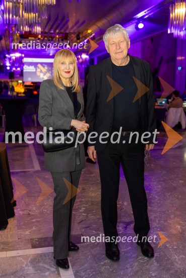 Razstava Čivki iz preteklosti, Cankarjev dom