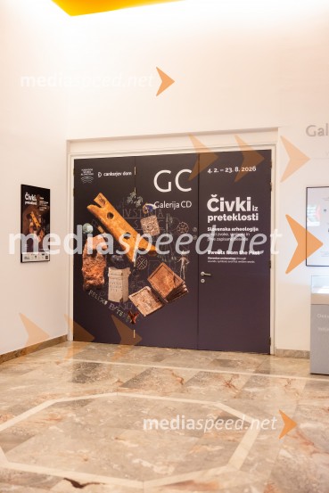 Razstava Čivki iz preteklosti, Cankarjev dom