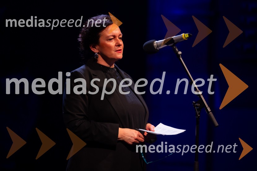 Razstava Čivki iz preteklosti, Cankarjev dom