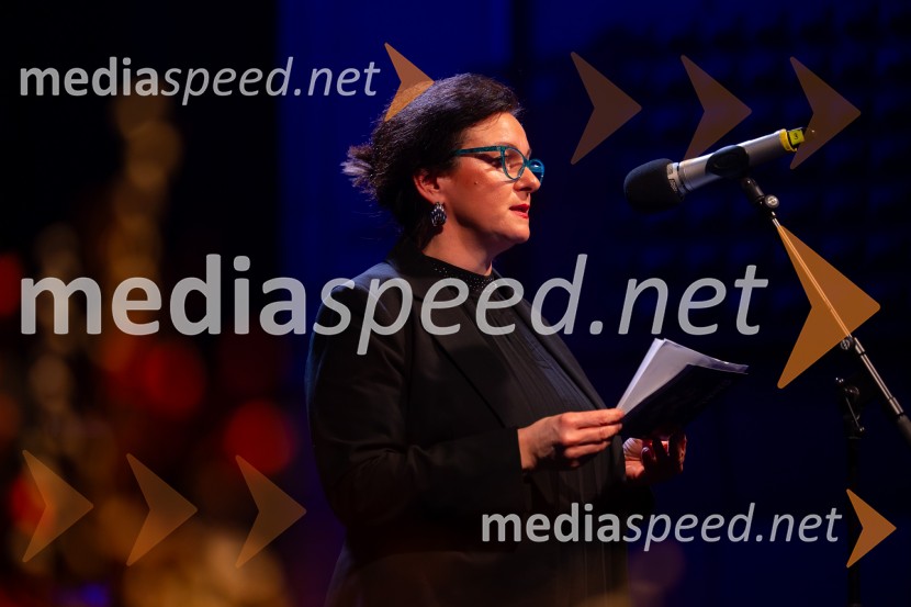 Razstava Čivki iz preteklosti, Cankarjev dom