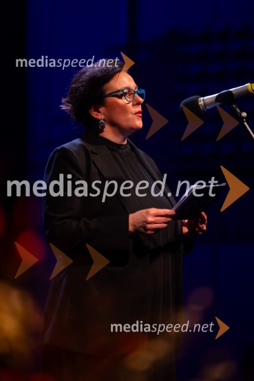 Razstava Čivki iz preteklosti, Cankarjev dom