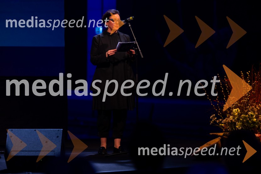 Razstava Čivki iz preteklosti, Cankarjev dom