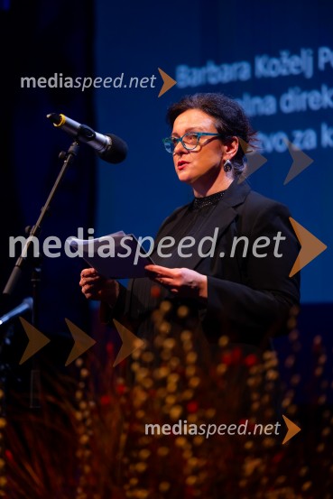 Razstava Čivki iz preteklosti, Cankarjev dom