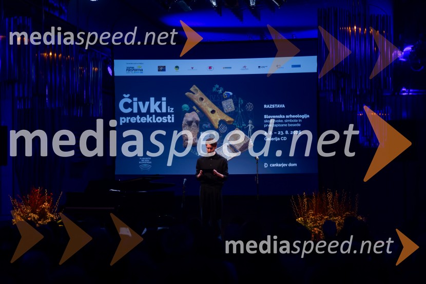 Razstava Čivki iz preteklosti, Cankarjev dom