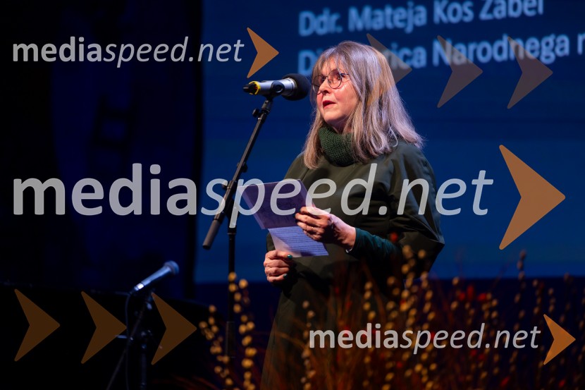 Razstava Čivki iz preteklosti, Cankarjev dom