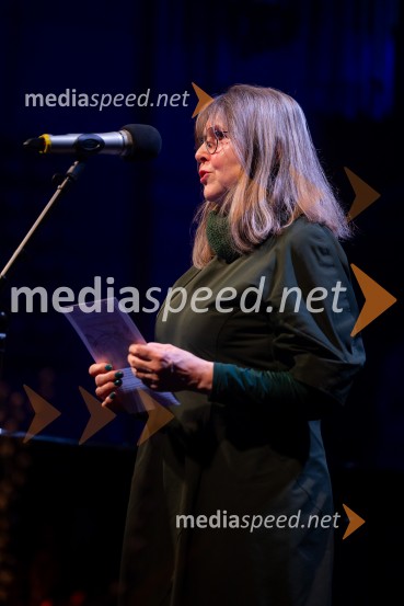 Razstava Čivki iz preteklosti, Cankarjev dom