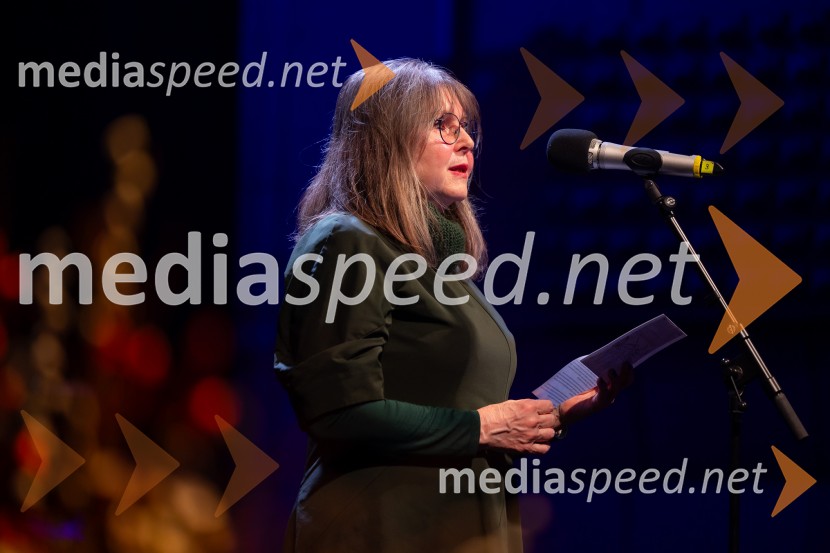 Razstava Čivki iz preteklosti, Cankarjev dom