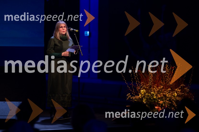 Razstava Čivki iz preteklosti, Cankarjev dom