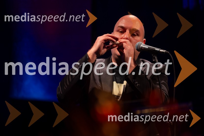 Razstava Čivki iz preteklosti, Cankarjev dom