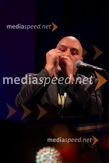 Razstava Čivki iz preteklosti, Cankarjev dom