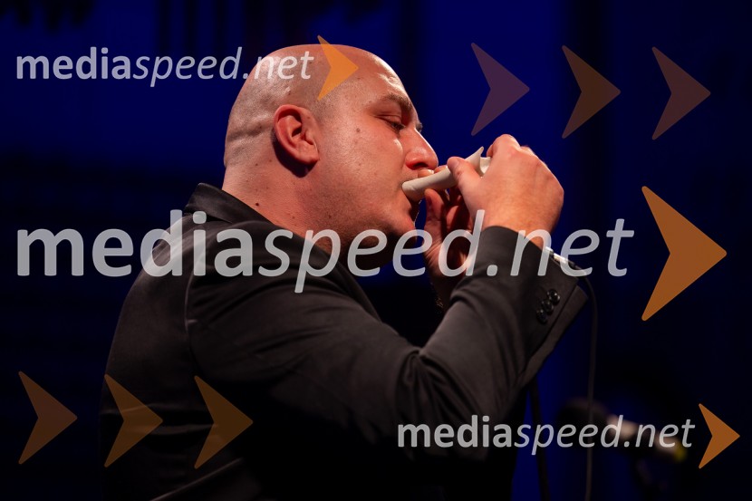 Razstava Čivki iz preteklosti, Cankarjev dom