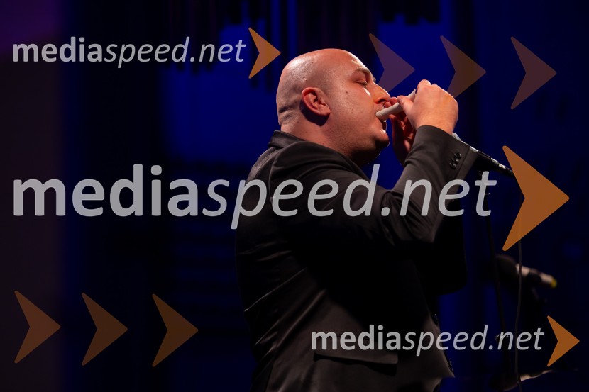 Razstava Čivki iz preteklosti, Cankarjev dom