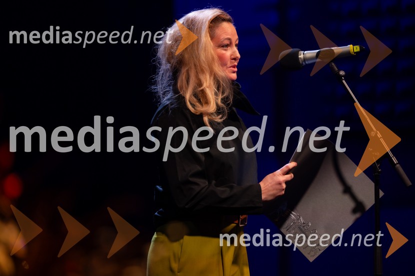 Razstava Čivki iz preteklosti, Cankarjev dom