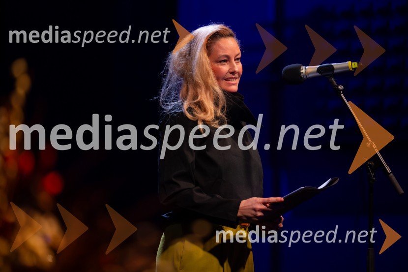 Razstava Čivki iz preteklosti, Cankarjev dom