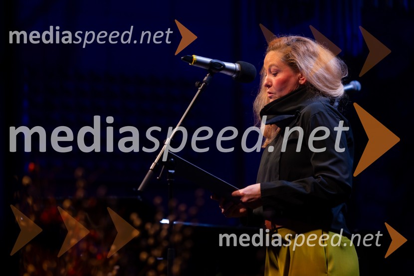 Razstava Čivki iz preteklosti, Cankarjev dom