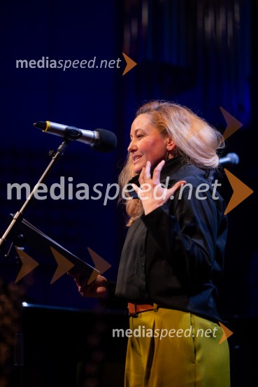 Razstava Čivki iz preteklosti, Cankarjev dom