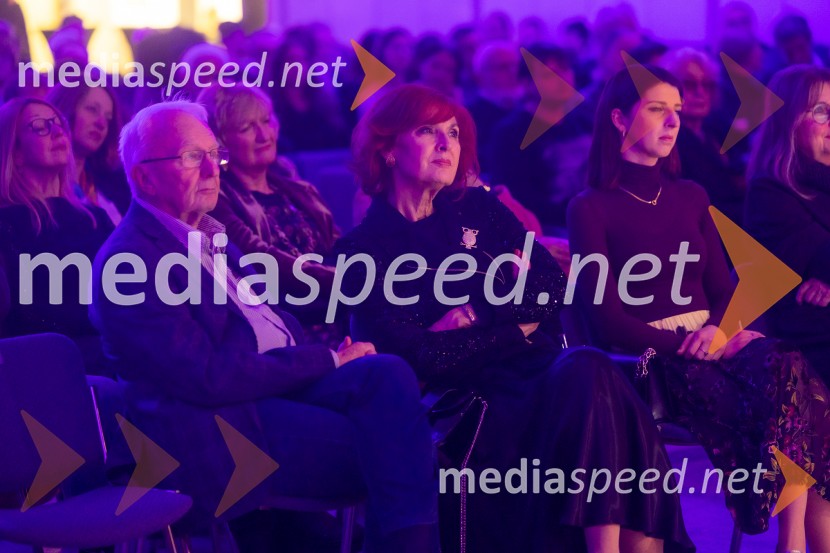 Razstava Čivki iz preteklosti, Cankarjev dom