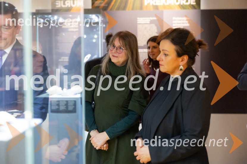 Razstava Čivki iz preteklosti, Cankarjev dom