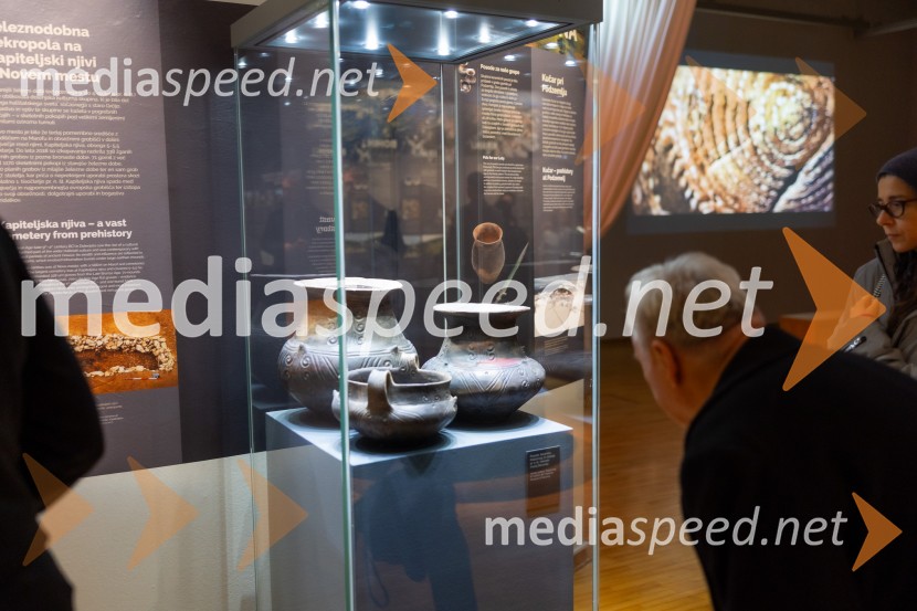 Razstava Čivki iz preteklosti, Cankarjev dom