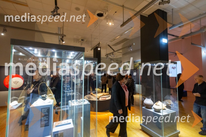 Razstava Čivki iz preteklosti, Cankarjev dom