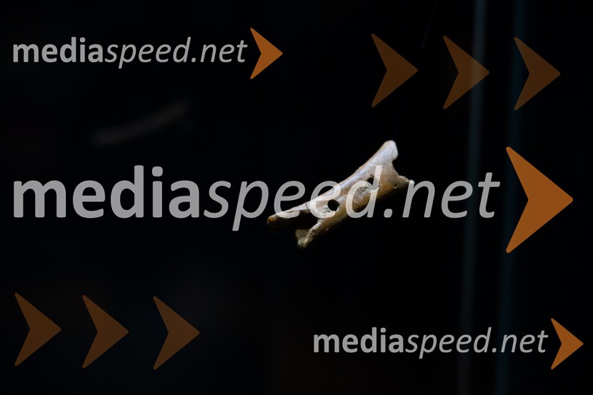 Razstava Čivki iz preteklosti, Cankarjev dom