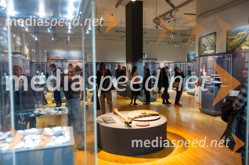 Razstava Čivki iz preteklosti, Cankarjev dom