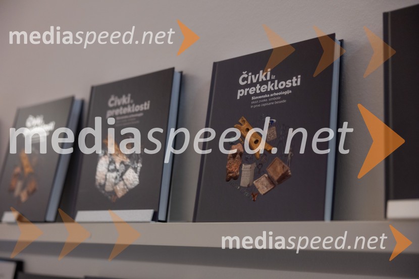 Razstava Čivki iz preteklosti, Cankarjev dom