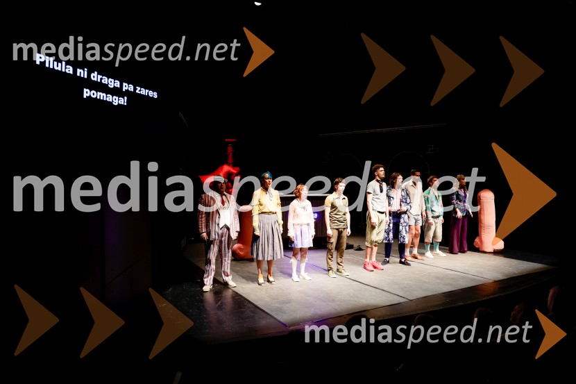 Premiera Življenje podeželjskih plejbojev, Cankarjev dom