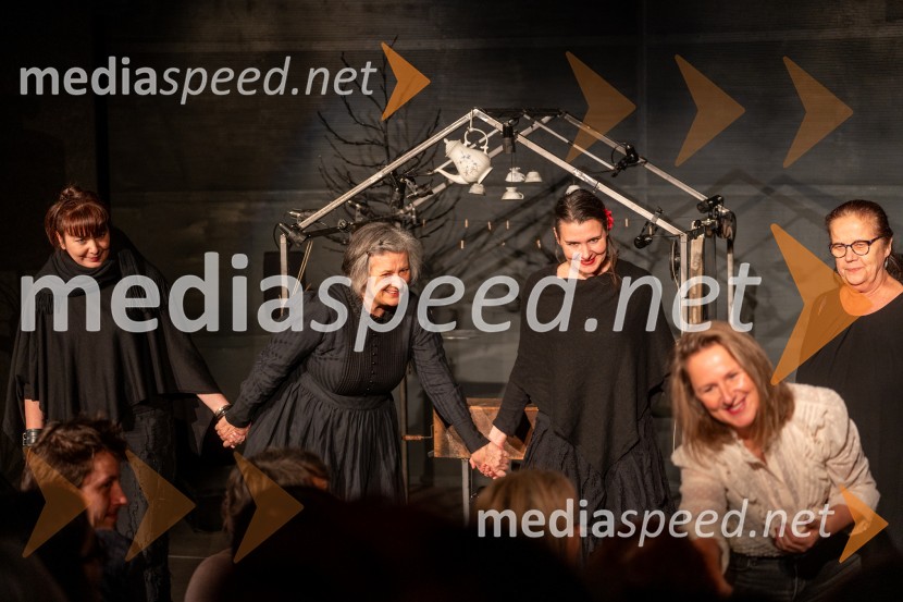 Skrinjica sinjega maka, premiera Lutkovno gledališče Maribor