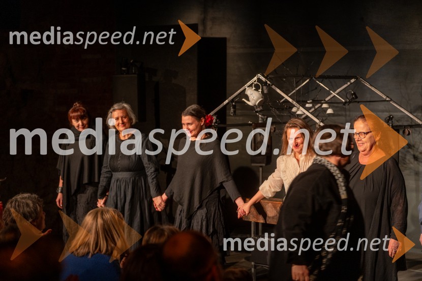 Skrinjica sinjega maka, premiera Lutkovno gledališče Maribor