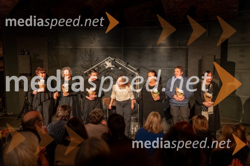 Skrinjica sinjega maka, premiera Lutkovno gledališče Maribor