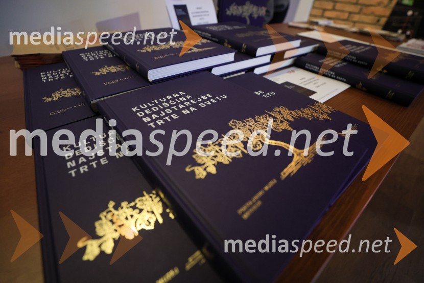 5. Mariborski turistični forum, Zavod za turizem Maribor