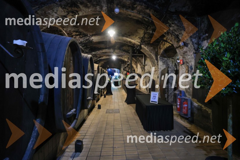 5. Mariborski turistični forum, Zavod za turizem Maribor