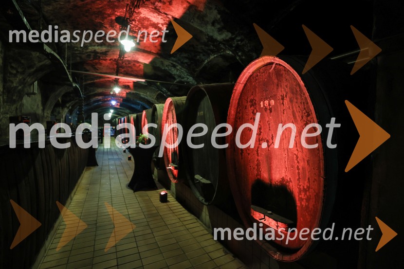 5. Mariborski turistični forum, Zavod za turizem Maribor