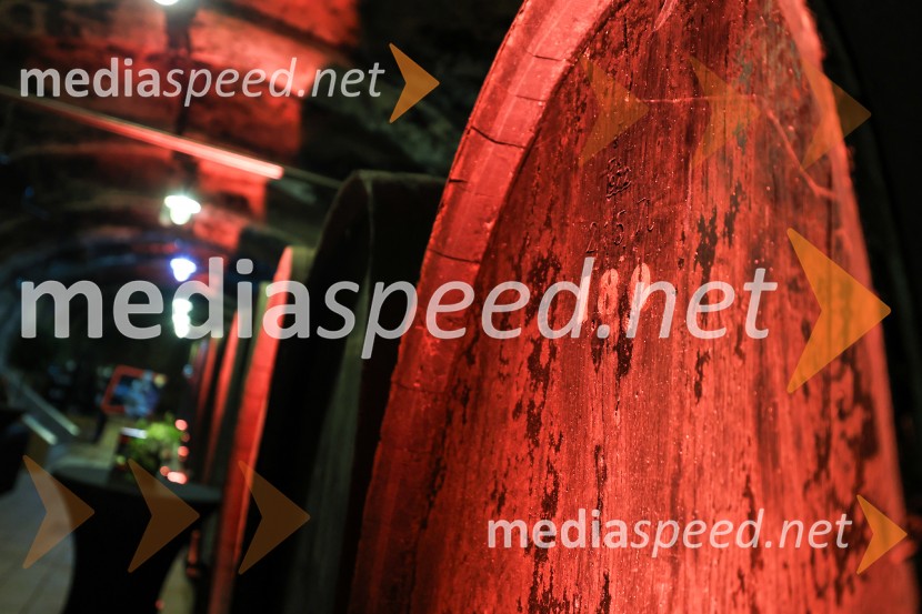 5. Mariborski turistični forum, Zavod za turizem Maribor