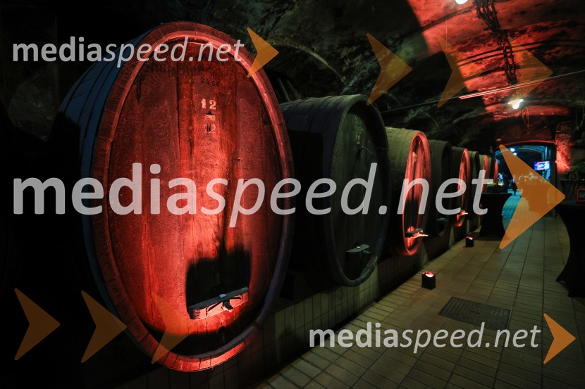 5. Mariborski turistični forum, Zavod za turizem Maribor