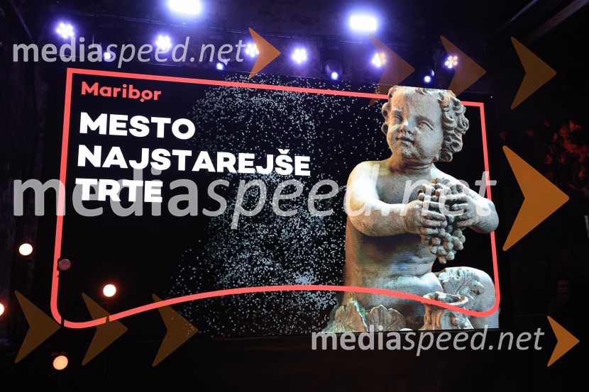 5. Mariborski turistični forum, Zavod za turizem Maribor