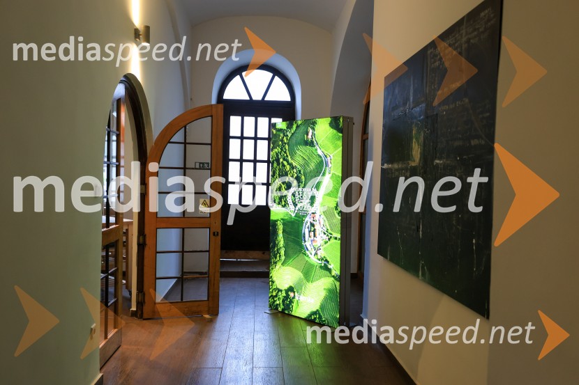 5. Mariborski turistični forum, Zavod za turizem Maribor