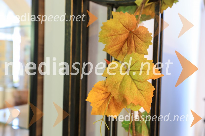 5. Mariborski turistični forum, Zavod za turizem Maribor