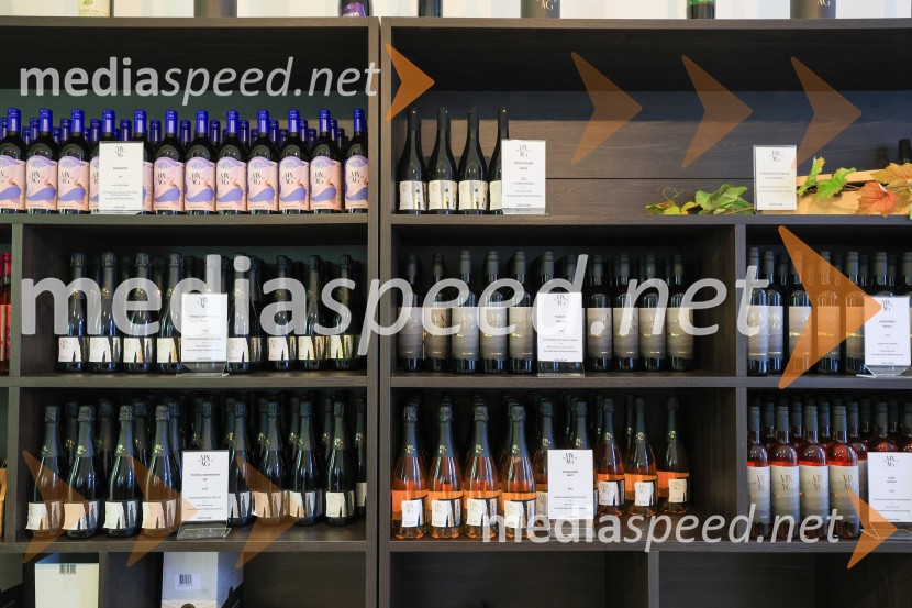 5. Mariborski turistični forum, Zavod za turizem Maribor