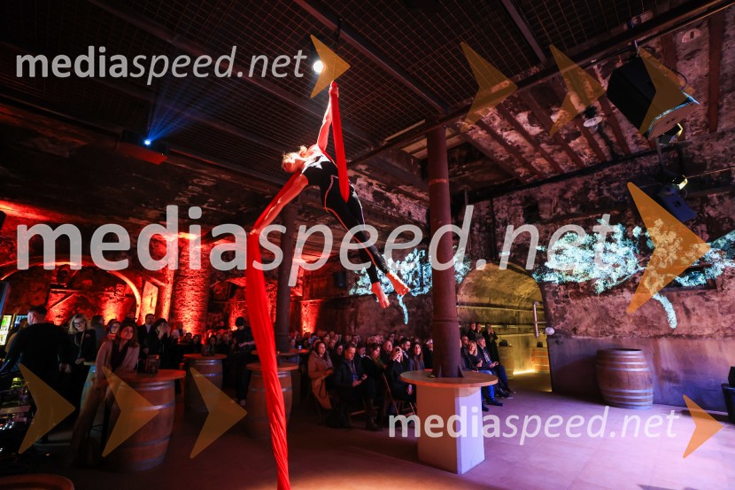 5. Mariborski turistični forum, Zavod za turizem Maribor