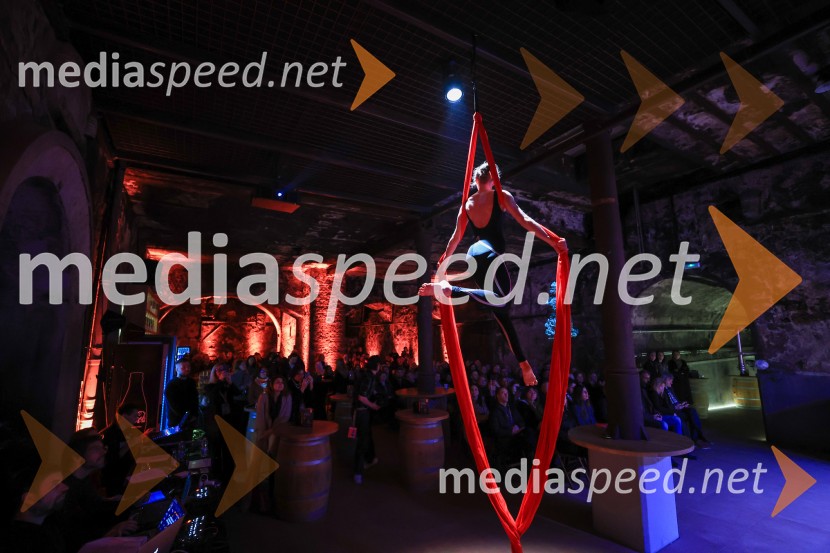 5. Mariborski turistični forum, Zavod za turizem Maribor