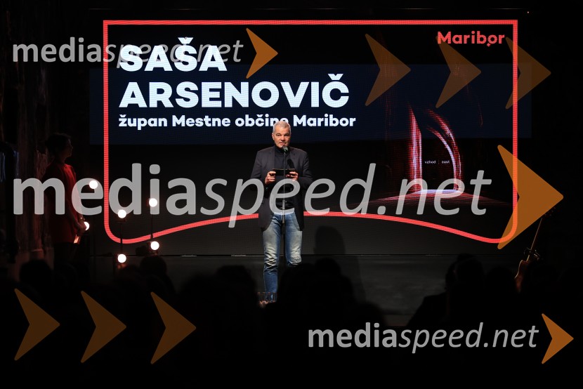 5. Mariborski turistični forum, Zavod za turizem Maribor