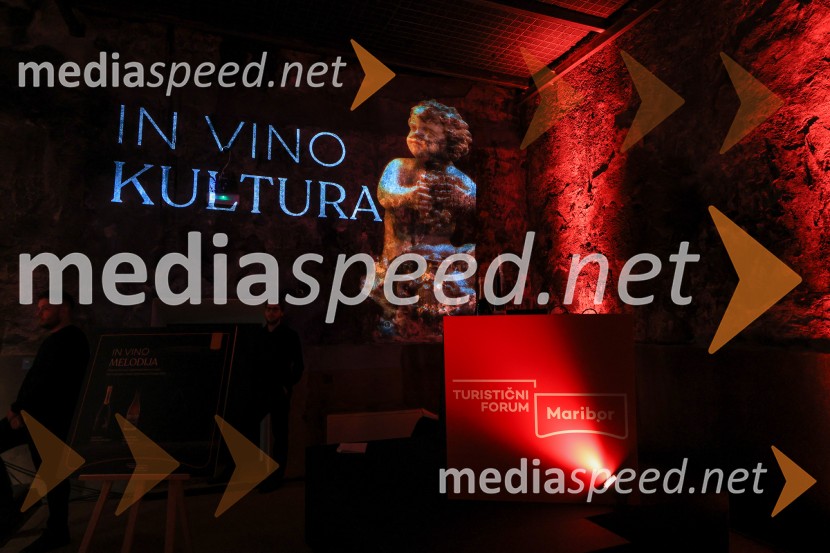 5. Mariborski turistični forum, Zavod za turizem Maribor